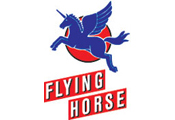 referenz flyinghorse